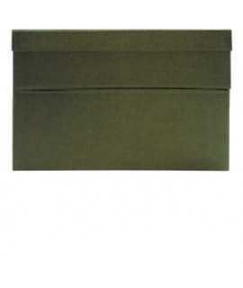 Caja de transferencia, 22 cm. Tamaño: 39x26x22 cm. Color verde