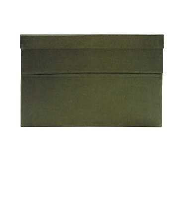 Caixa de transferència, 22 cm. Mida: 39x26x22 cm. Color verd