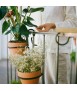 Soporte para plantas Sigh