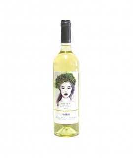 White wine Núria de Montargull