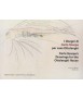 CARLO SCARPA'S DRAWINGS FOR CASA OTTOLENGHI