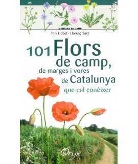 101 FLORS DE CAMP