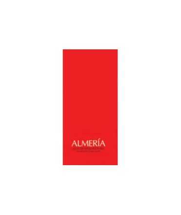 Almería: guía de arquitectura / an architectural guide