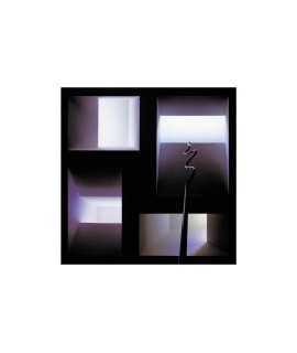 Carlos Ferrater: M as thick as paper=Thicker than paper