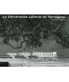 Universitat Laboral de Tarragona, La: 1952-1956