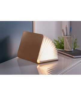 Light Book, skin marr or