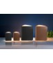 Light Book, skin marr or