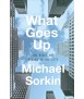 What Goes Up: The Right and Wrongs to the City
