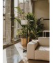 TMM Light Black Oak, Beige