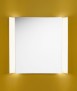 Mirror Light