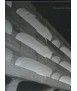 The Architecture of Paul Rudolph