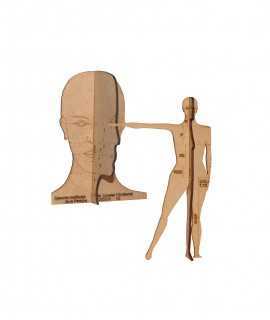 Measurements of the medieval person: his physiognomy and his body