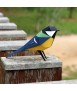 Paper bird - Parus Major