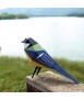 Paper bird - Parus Major