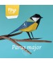 Paper bird - Parus Major