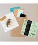 Ocell de paper - Alcedo Atthis