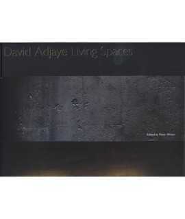 David Adjaye.Living Spaces