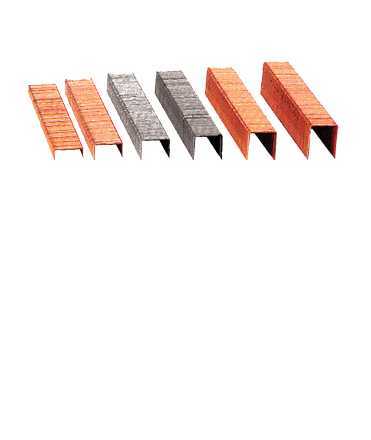 Staples. Size: 202 girls. Copper finish