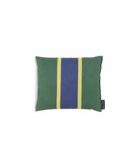 Aromatic pillow