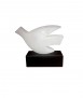 Pigeon Marble Carrara 5