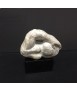 Colección Piedras: Ni pies ni cabeza