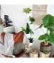 Jardín Vertical Smart 3