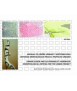 Urban Design and Sustainability Handbook