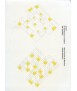 CLINICAL An Architecture of Variation with Repetition
