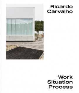 RICARDO CARVALHO. WORK SITUATION PROCESS.