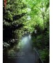 Breathe - Investigations into Our Atmospherically Entangled Future