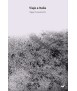 Viaje a Italia. Sigurd Lewerentz
