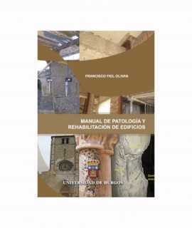 Manual de patología y rehabilitación de edificios.