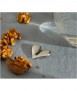 Trencanous Nut Splitter 