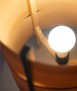 Oregon Concentric Light
