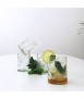 Vaso DiamondMonkey, 4 uds.