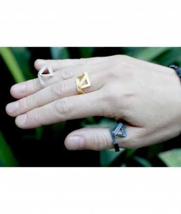 Anillo Lineal