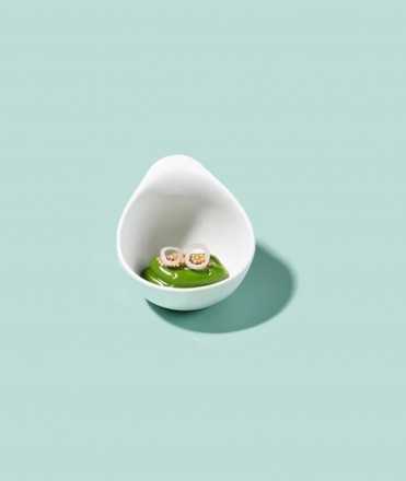 Cuenco The Nest