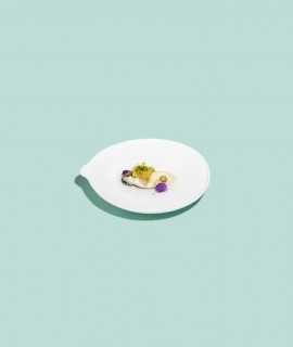 The Saucer Dish
