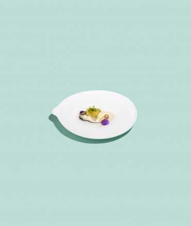 Plat The Saucer