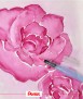 Aquash Brush, M