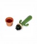 Raspall rentaplats Cactus 