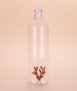 Atlantis Coral Bottle, Amber