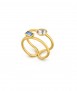 Anillo Medes