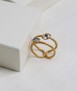 Anillo Medes