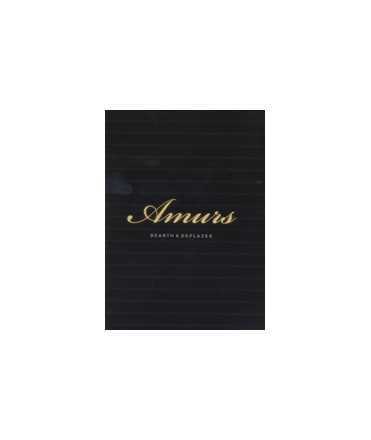 Amurs: Bearth & Deplazes