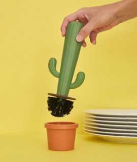 Raspall rentaplats Cactus 