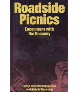 Roadside Picnics.Encounters with the Umcanny.