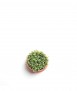 Maceta Green Dots