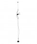 Light Parenthesis, black