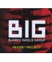 BIG: Bjarke Ingels Group: Recent Project